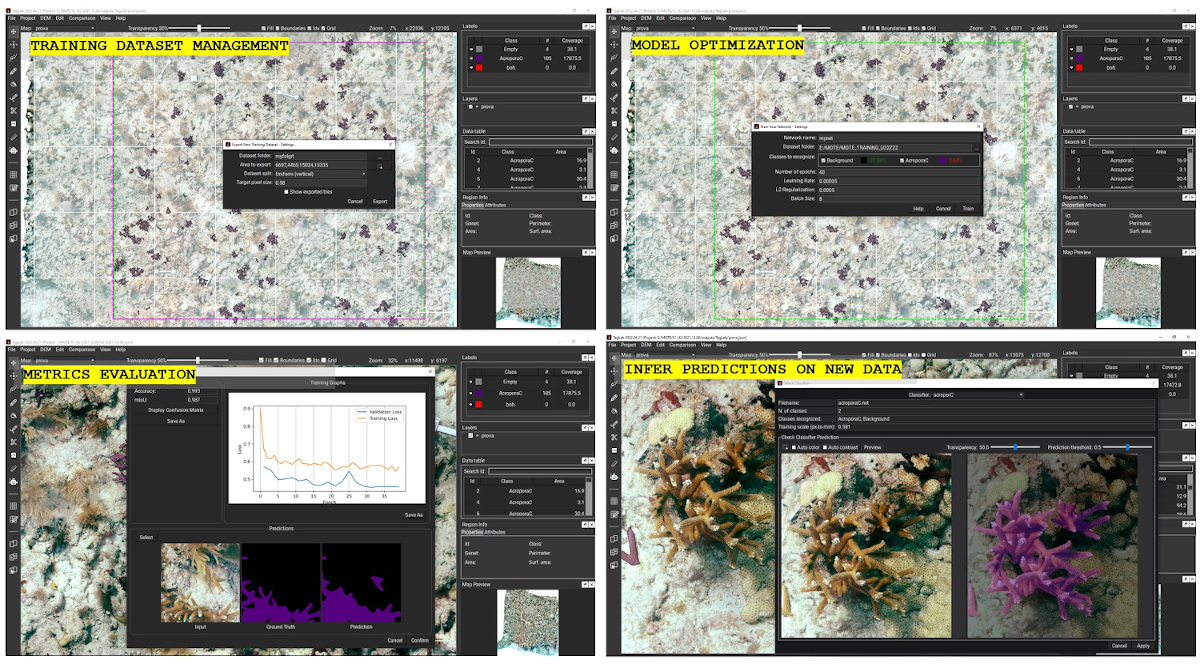 The image is divided into four sections, all showing screenshots of TagLab software, which is an important human-centric AI-based tool for data processing and monitoring coral reefs.
