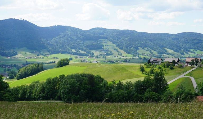 A green landscape with hills and vegetation.