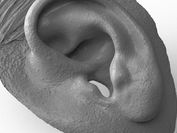 Modellierung eines menschlichen Ohrs.