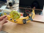 A banana with a stick-on face and hairstyle, on which quite a few sensors were attached