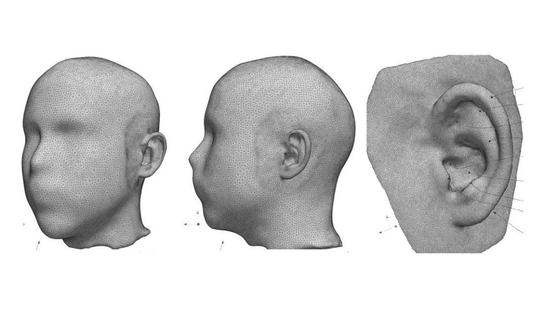 Drei Bilder einer 3D-Kopfrekonstruktion: Profil, von der Seite, Nahaufnahme des Ohres