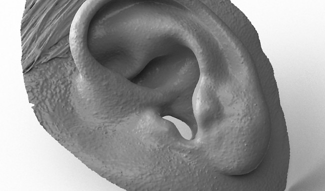 Modellierung eines menschlichen Ohrs.