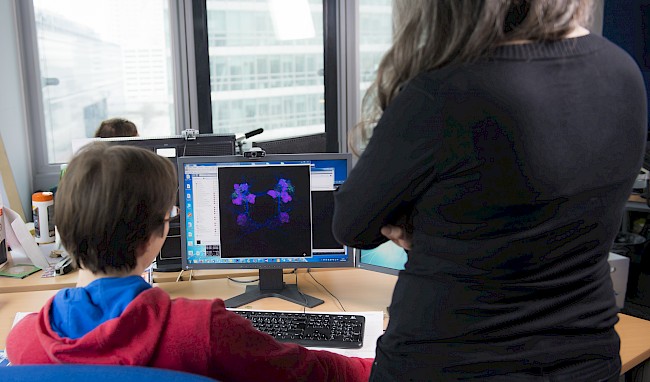 A visualization of a fruit fly larval brain can be seen on the computer screen being viewed by two researchers.