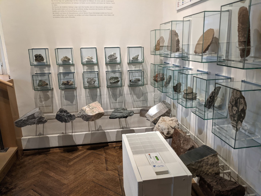 Glass cabinets with fossils in an exhibition