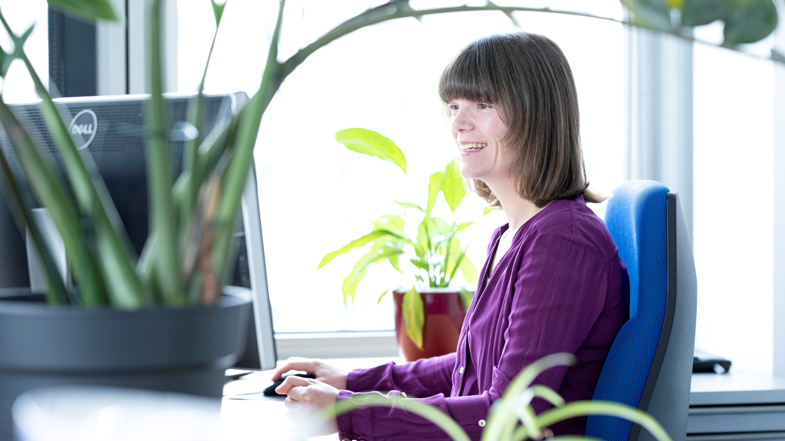 A researcher in a purple sweater sits at her desk. In front of her is a green plant. 