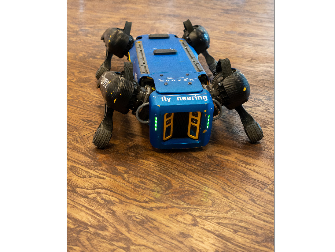 Bild von einem blauen, liegenden Roboterhund