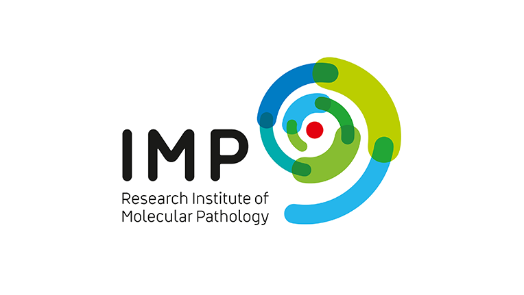 Logo IMP