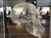 Auf einer Glasscheibe ist eine Visualisierung eines Neanderthaler-Schädels zu sehen.