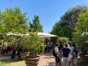 A garden with a sun umbrella and people talking about research. 