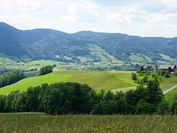 Eine grüne Landschaft mit Hügeln und Vegetation.